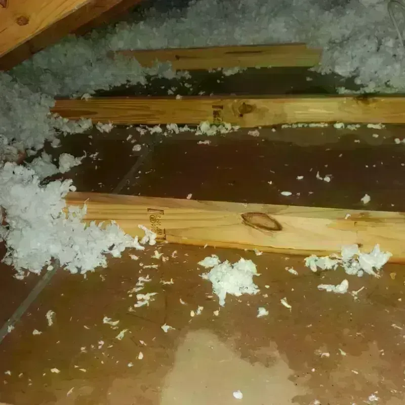 Attic Water Damage in Chico, TX