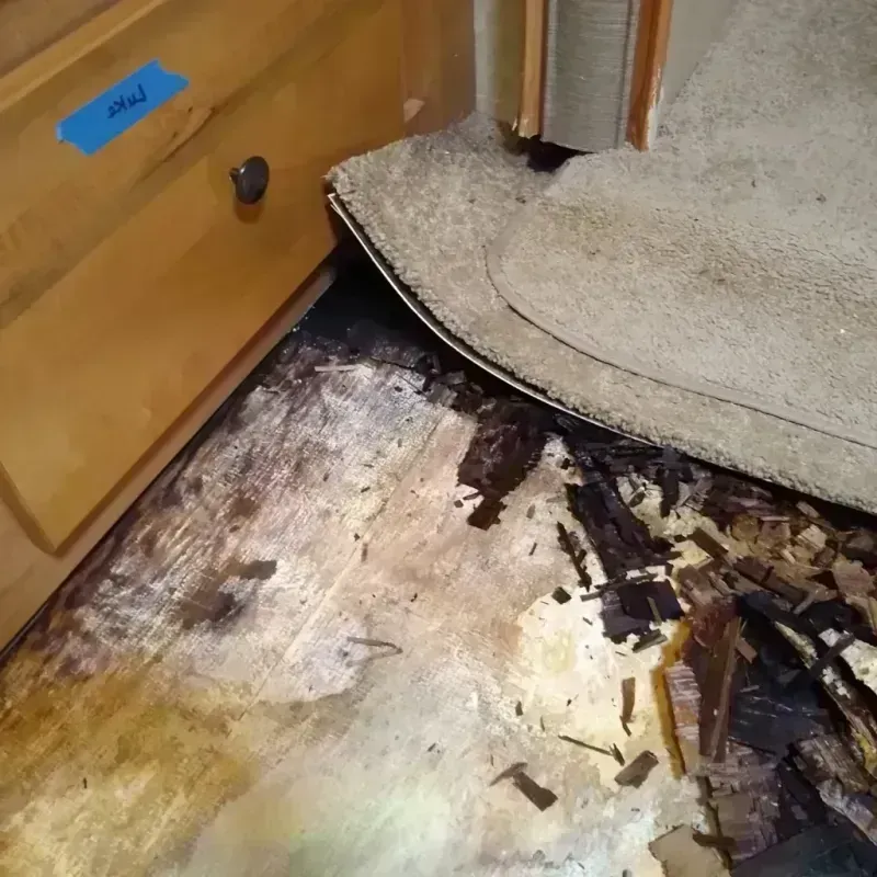 Wood Floor Water Damage in Chico, TX